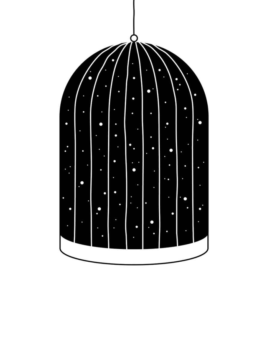 Laurent Duvoux - Cage espace, 20x20, 100 ex. 30euros