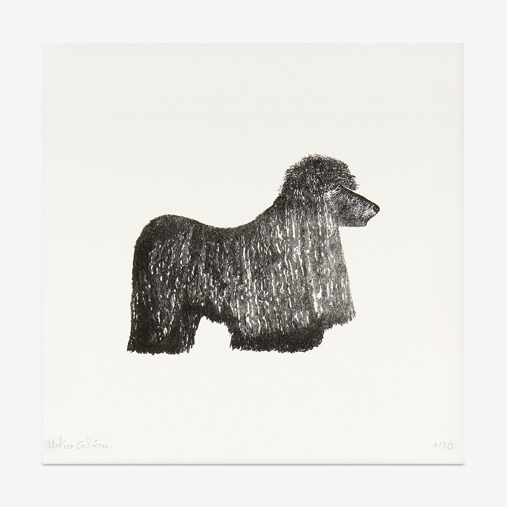 Atelier Cabéru - [Chiche le caniche], 20x20cm, 50ex., signé.